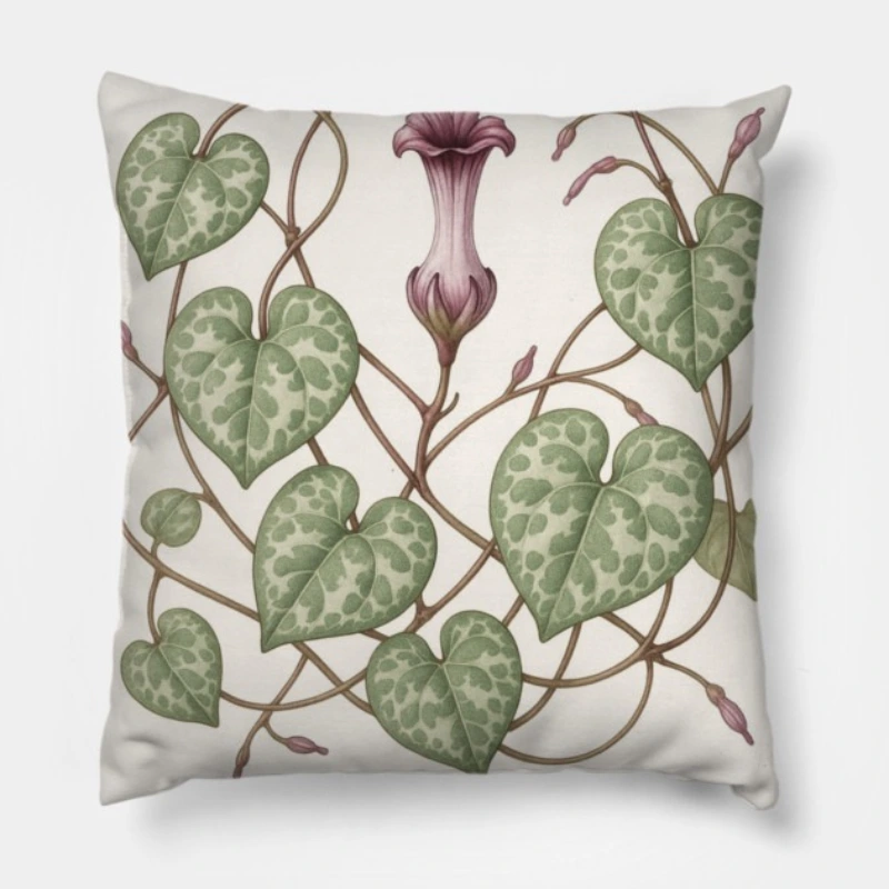 Floral throw pillow featuring Ceropegia woodii String of Hearts botanical illustration on bright white background
